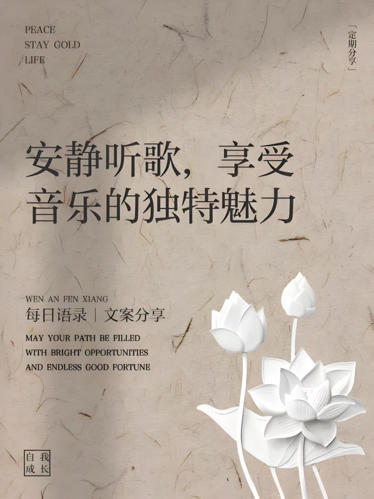 每天听懂一首歌